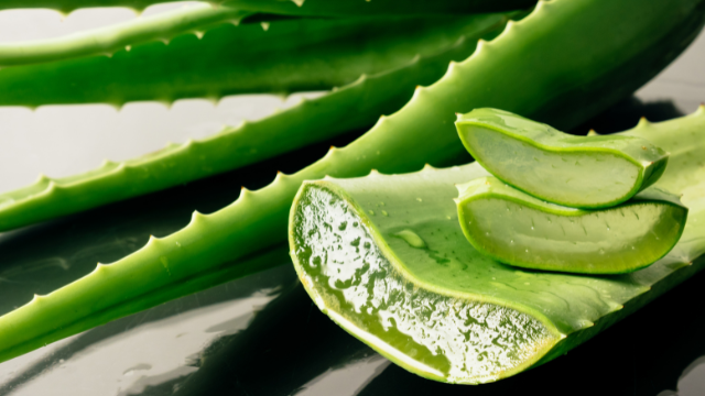 Aloes – Naturalny sposób na zdrową skórę i nie tylko