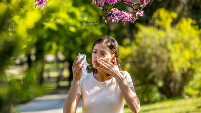 Alergia w maju – co pyli na żółto i jakie trawy są odpowiedzialne za twój katar?