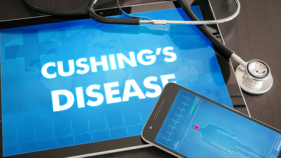 Ekran tabletu z napisem "Cushing's Disease", obok stetoskop i smartfon z grafiką ciała człowieka