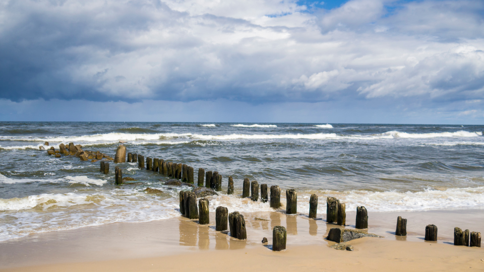 Sinice w wodzie to nie żarty. Sprawdź, kiedy lepiej zrezygnować z plażowania